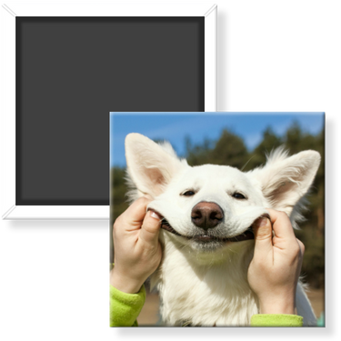 2.5" Square Custom Photo Magnets (6 per set)
